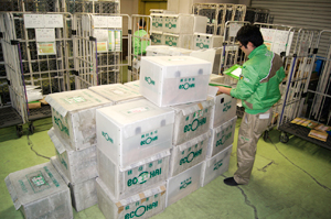 集荷センターでの様子