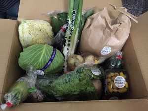 大量のお野菜!